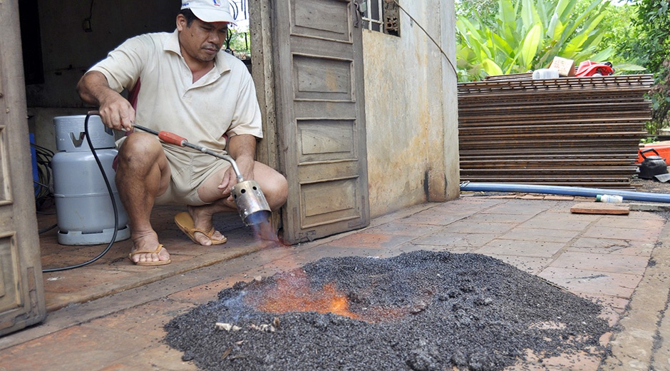 Hang trieu con bo dau den bay vao nha dan lam to hinh anh