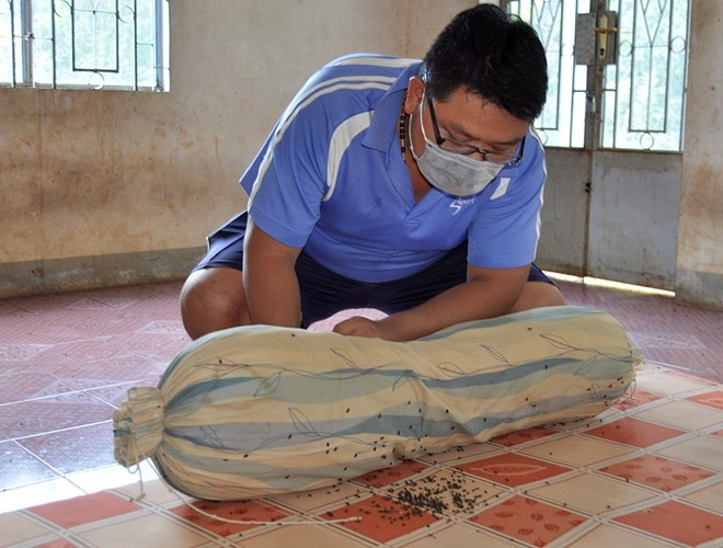 Dung bong bit tai, ra vuon ngu tranh bo dau den hinh anh