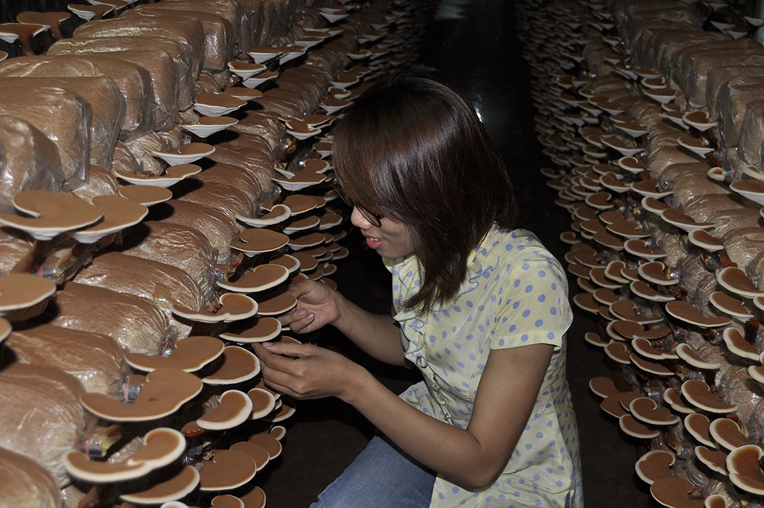 9X vua di hoc vua lam giam doc kiem 70 trieu dong/thang hinh anh