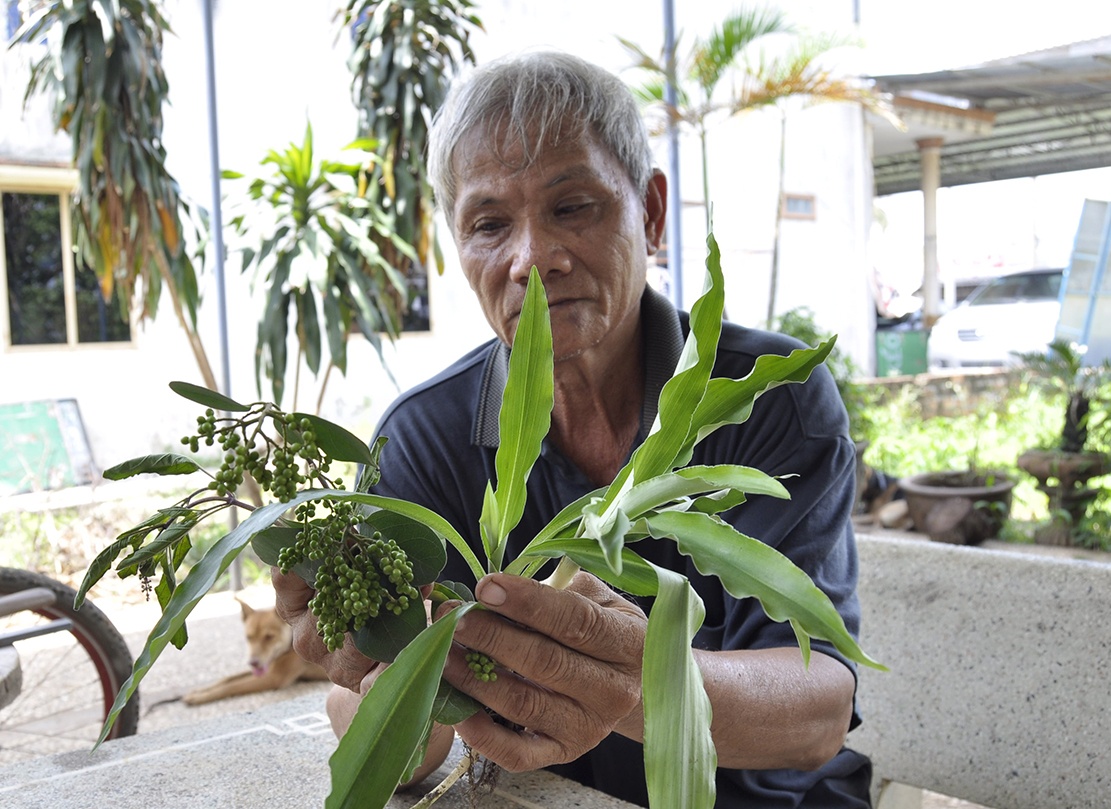 Ong lao gan 70 tuoi dung cay rung che ngu ran doc hinh anh