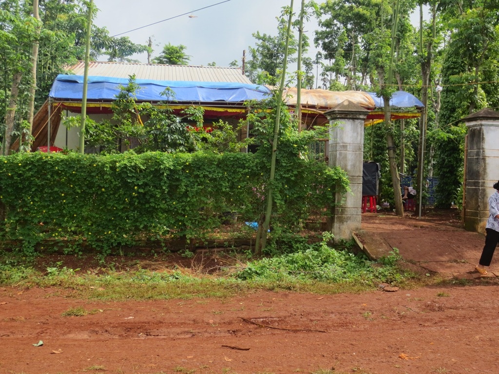 Dam nguoi trong mong nhieu nhat roi quy lay xin tha thu hinh anh