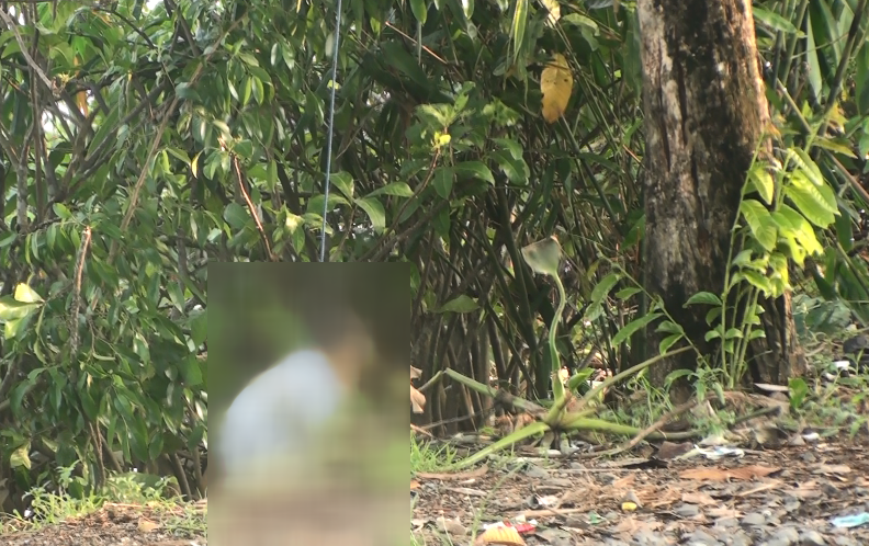 Nguoi dan ong moi ra tu treo co ven song hinh anh