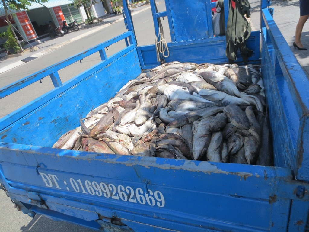 Ngu dan cho ca chet den UBND tinh phan doi o nhiem hinh anh