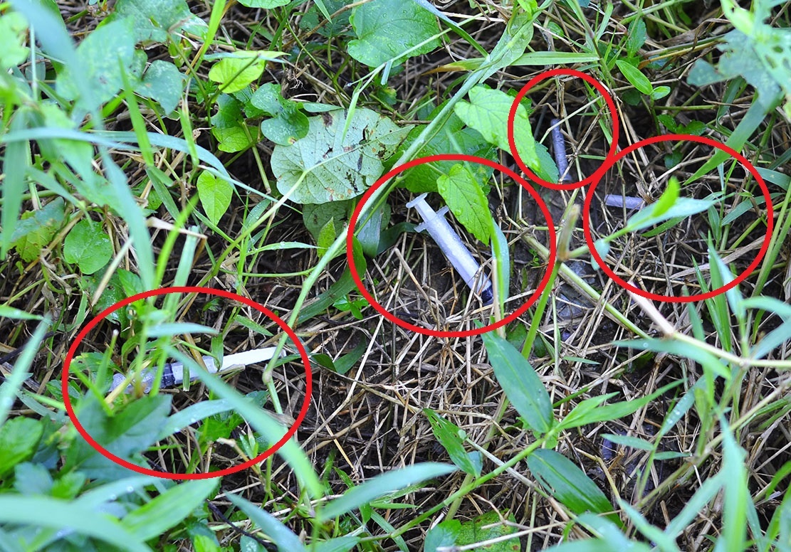 Chich ma tuy roi vut kim tiem day dac o suoi San Mau hinh anh