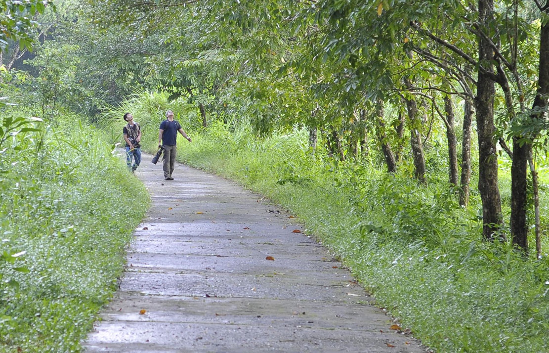 Mo duong trong rung Cat Tien nhu 'choi dao hai luoi' hinh anh
