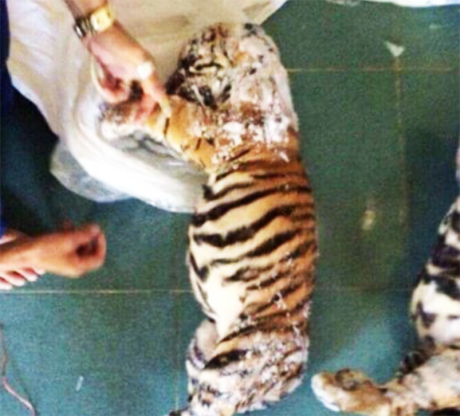 Bi trieu tap, thanh nien rao ban ho, gau 'vang nha' hinh anh