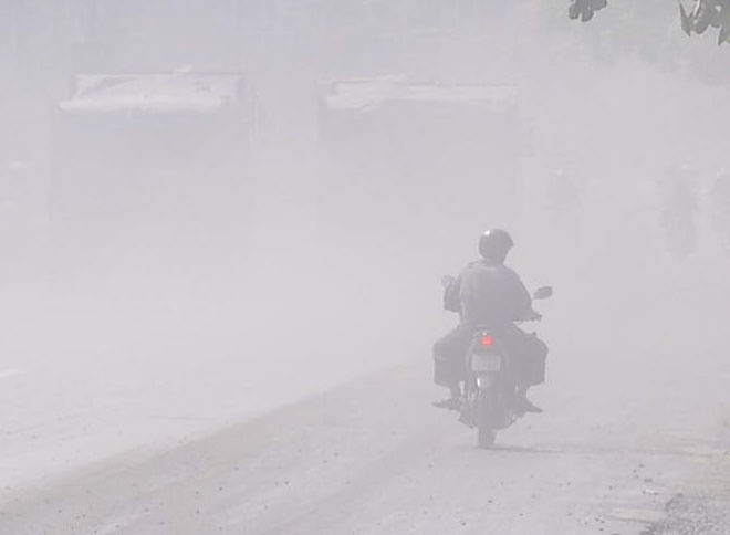 Cung duong chim trong bao bui o Binh Duong hinh anh