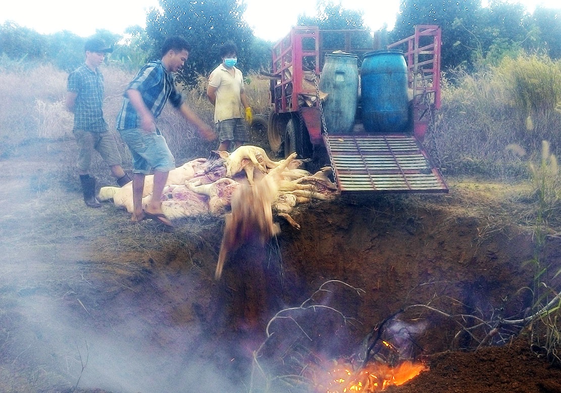 Gan 1 tan thit heo boc mui hoi thoi trong lo mo hinh anh