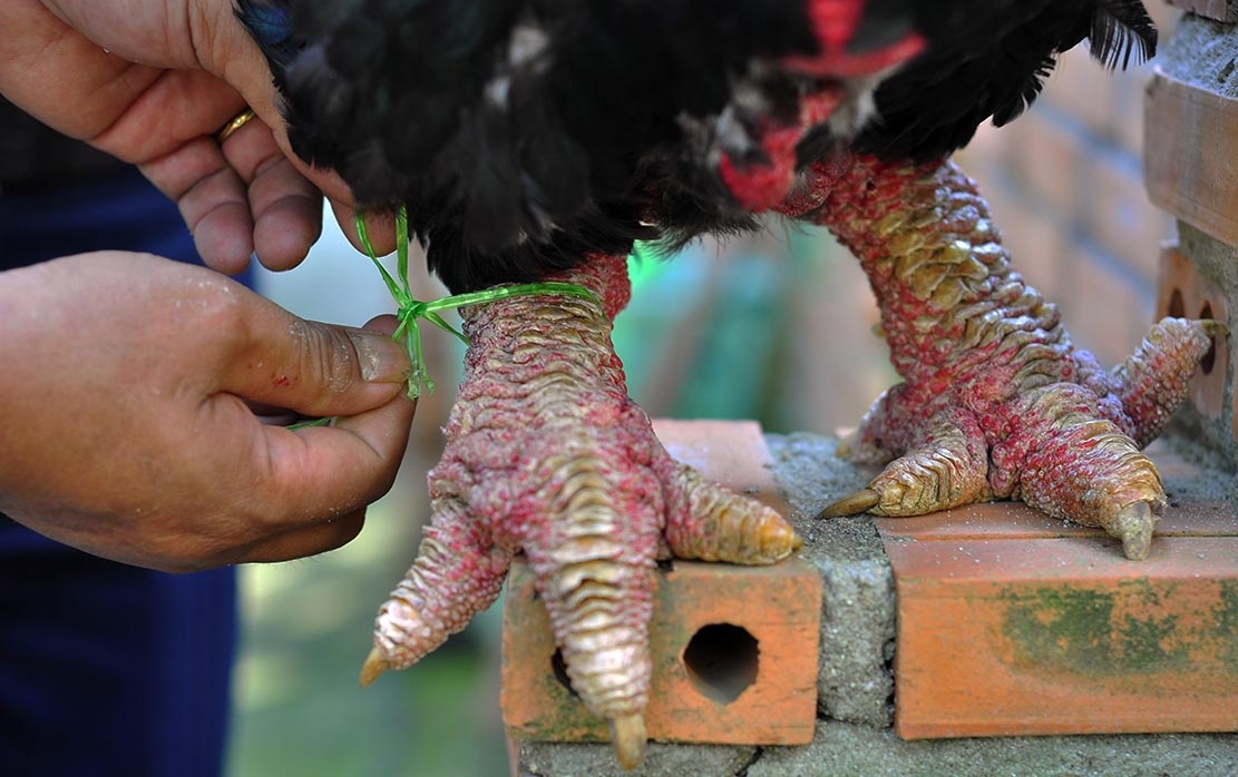 Khach nai ni dat chuc trieu dong buoc chan ga Dong Tao hinh anh