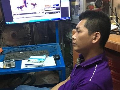 To chuc ca do da ga o nuoc ngoai qua Internet hinh anh