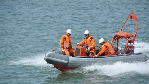 Roi xuong bien mat tich khi di chuyen tu dao vao dat lien hinh anh