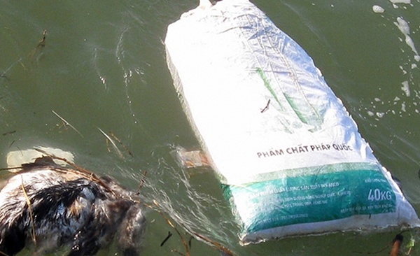 Hang nghin xac vit chet, dat tren song Da Rang hinh anh