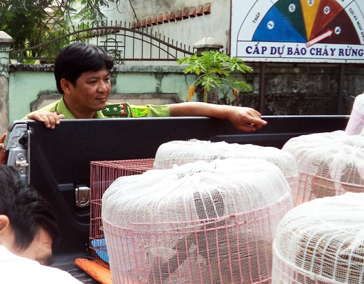 san bat dong vat anh 1