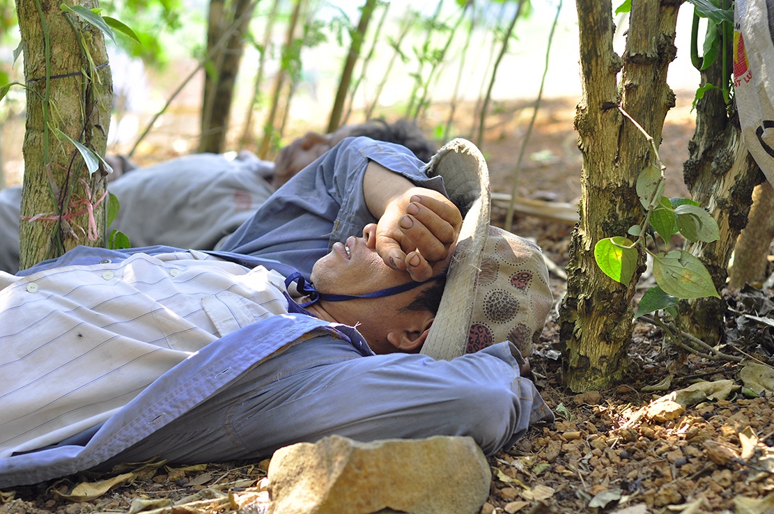 bo xu muu sinh anh 10