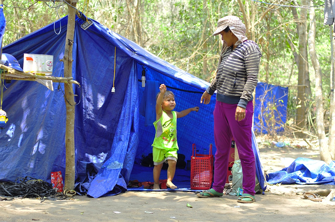 bo xu muu sinh anh 2