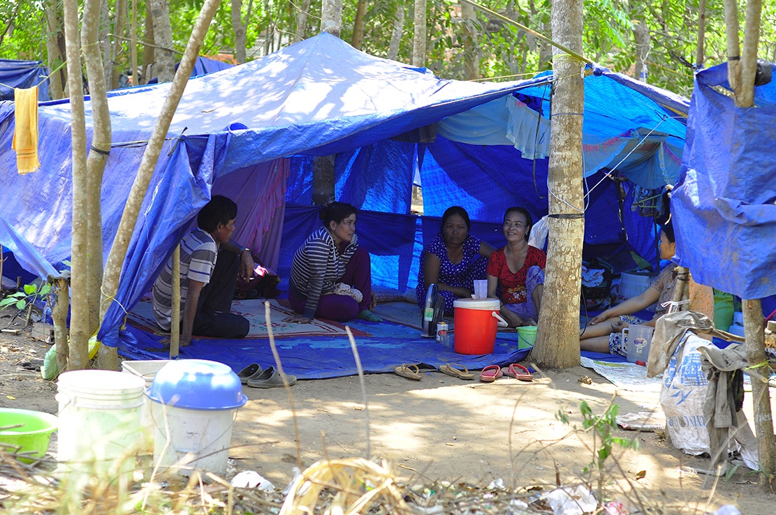 bo xu muu sinh anh 4