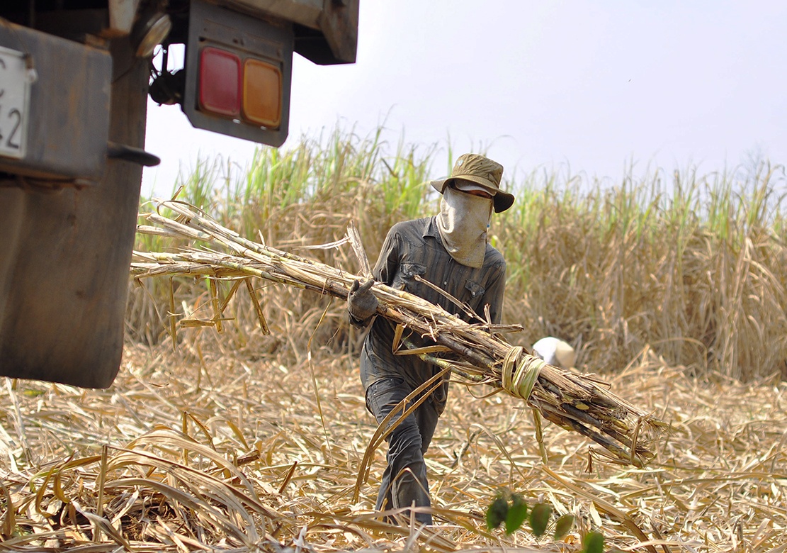 bo xu muu sinh anh 7