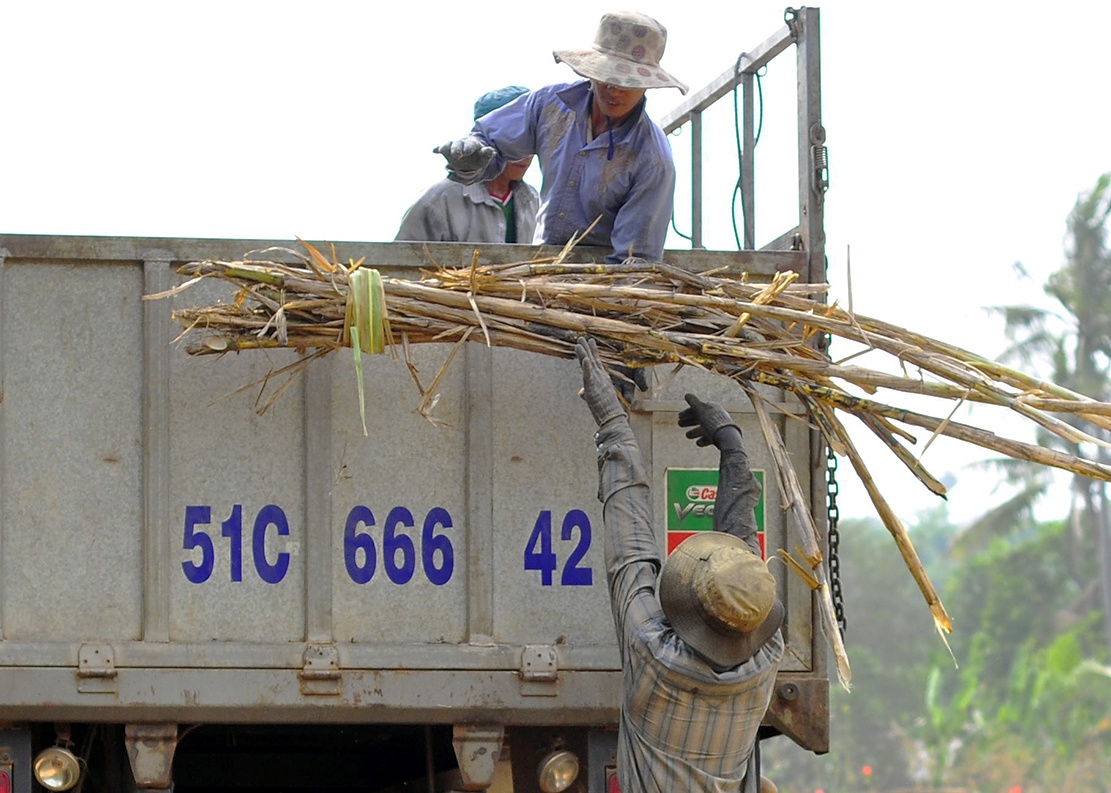 bo xu muu sinh anh 8