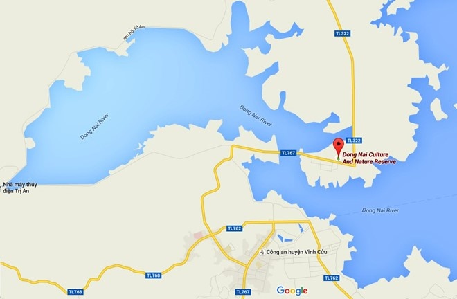 bò tót quý chết tại đồng nai ảnh 2 bo tot quy chet tai dong nai anh 2