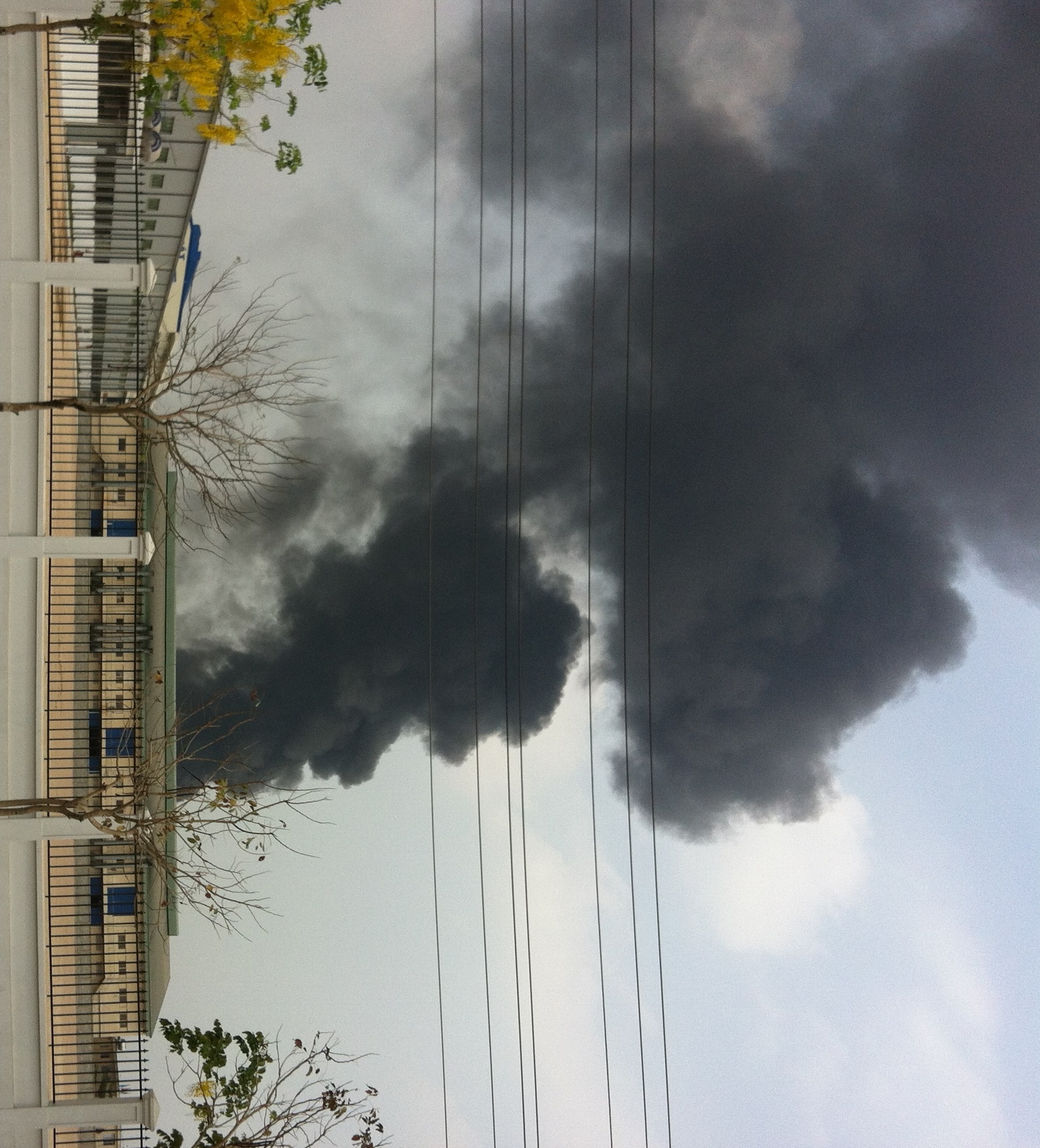 chay du doi cong ty o Binh Duong anh 2