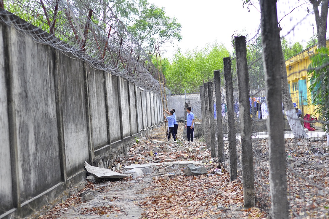 tron trai cai nghien o Vung Tau anh 1