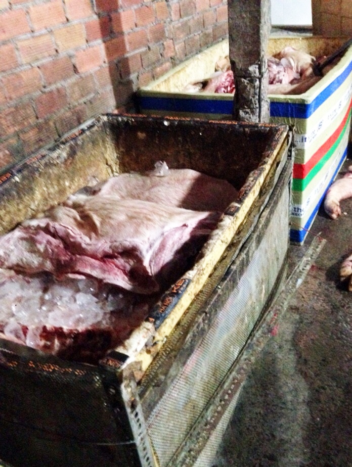 bán thịt heo chết ảnh 1 ban thit heo chet anh 1