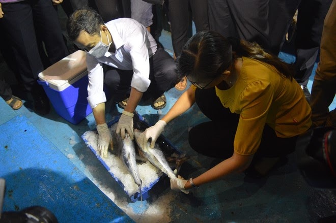 Hai san an toan duoc kiem dinh the nao? hinh anh