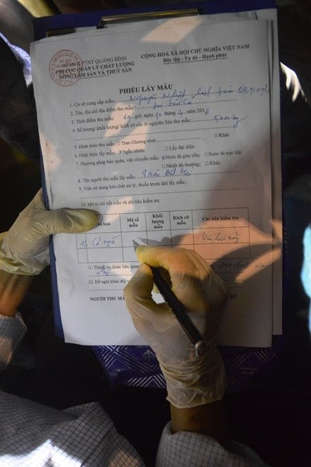 cá chết hàng loạt ảnh 2 ca chet hang loat anh 2