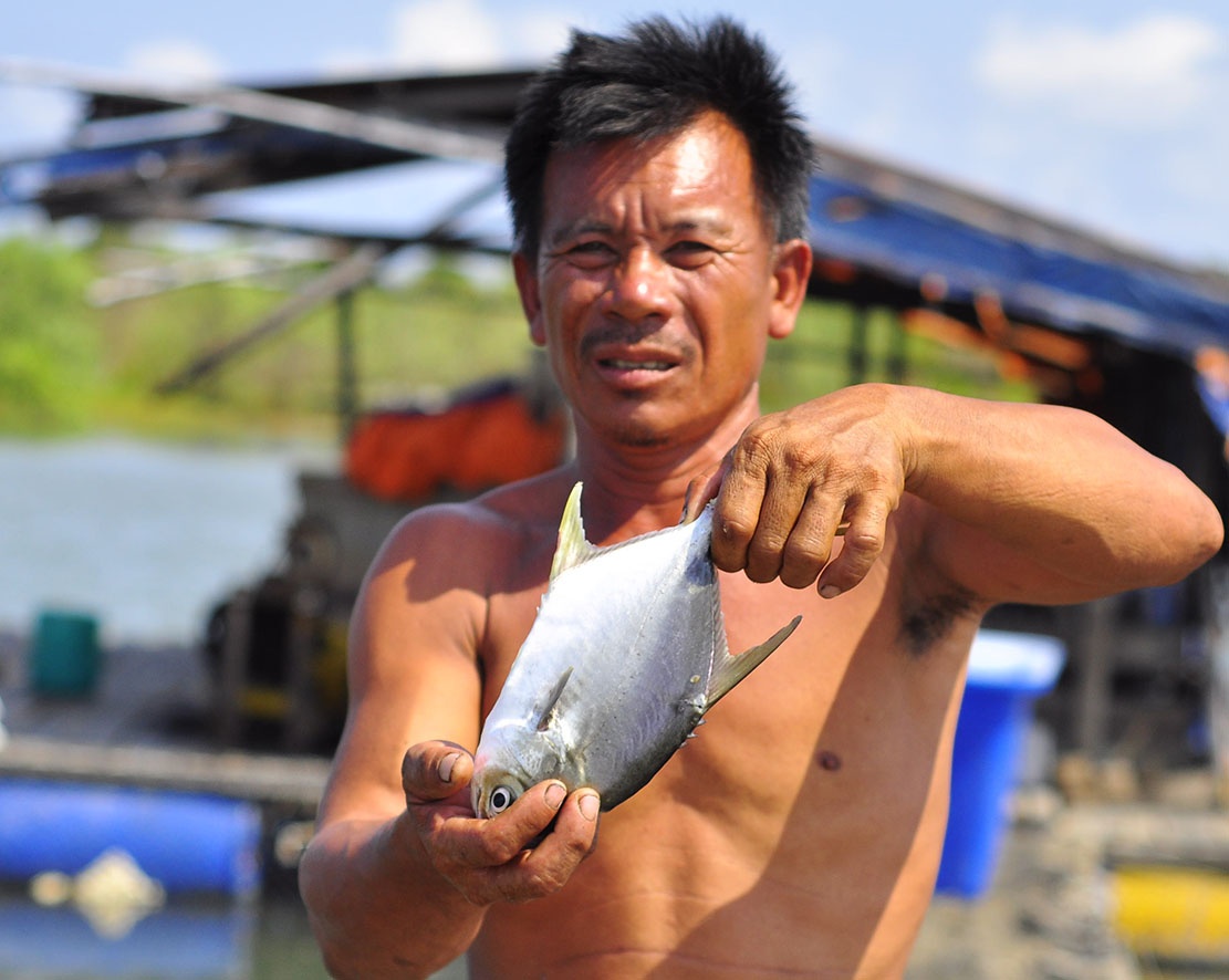 ngu dan om no vi doanh nghiep xa thai anh 2