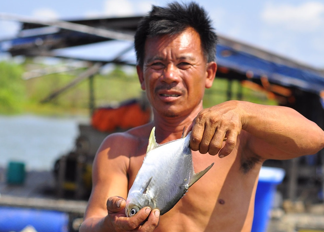 Ngu dan bi siet no vi ca chet hang loat hinh anh