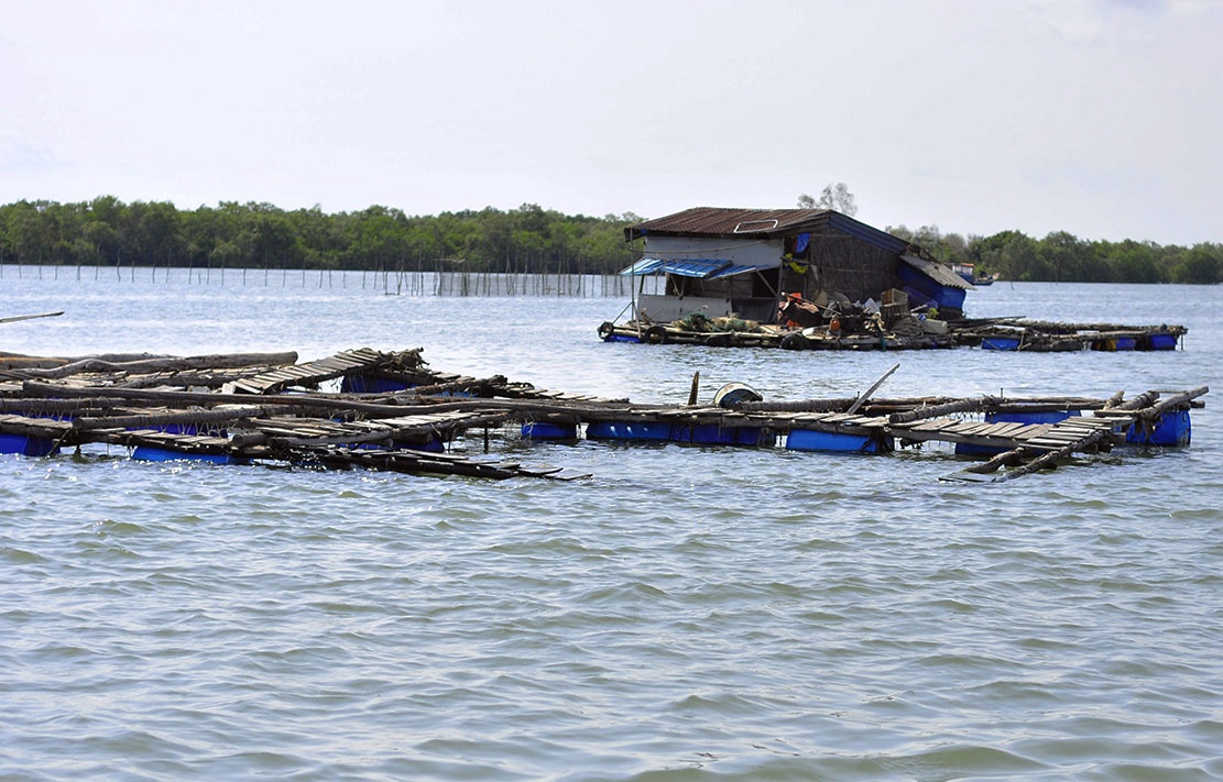 ngu dan om no vi doanh nghiep xa thai anh 1