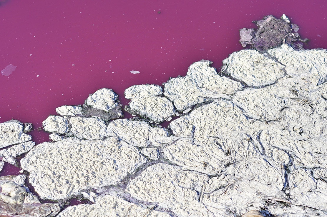 ngu dan om no vi doanh nghiep xa thai anh 3