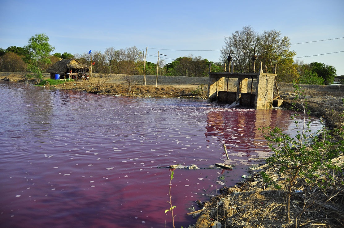 ca chet hang loat anh 1