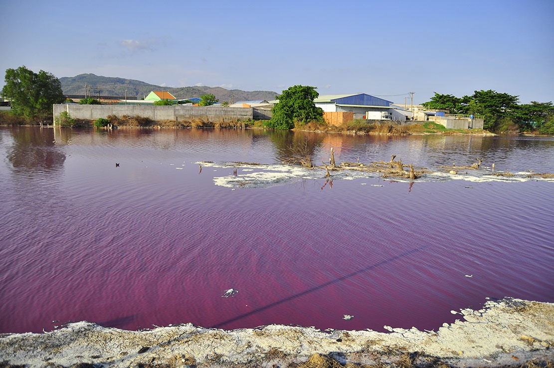 ca chet hang loat anh 2