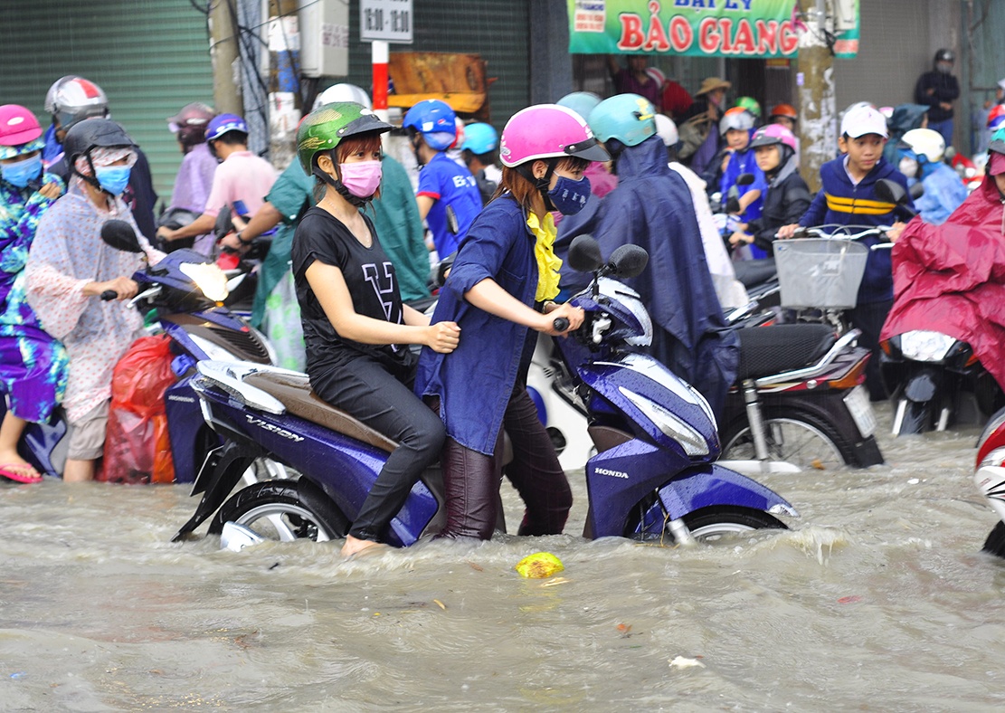 Mua ngap o Bien Hoa hinh anh