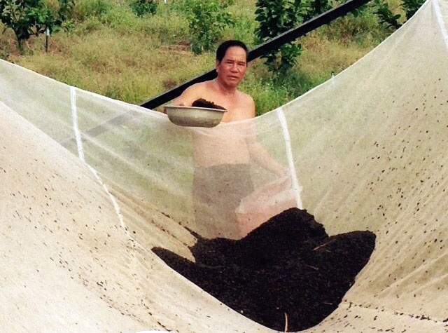 du doi rung diet muoi anh 2