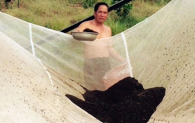 Dung choi du doi rung ve san muoi hinh anh