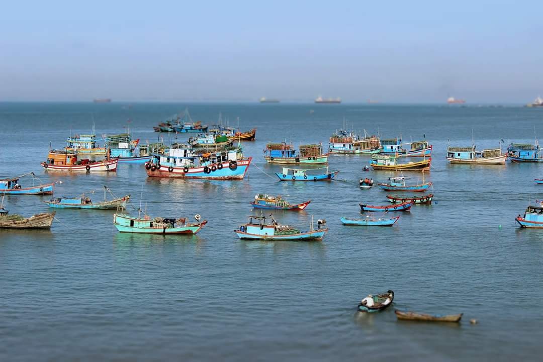 cam tau danh ca o Vung Tau anh 1