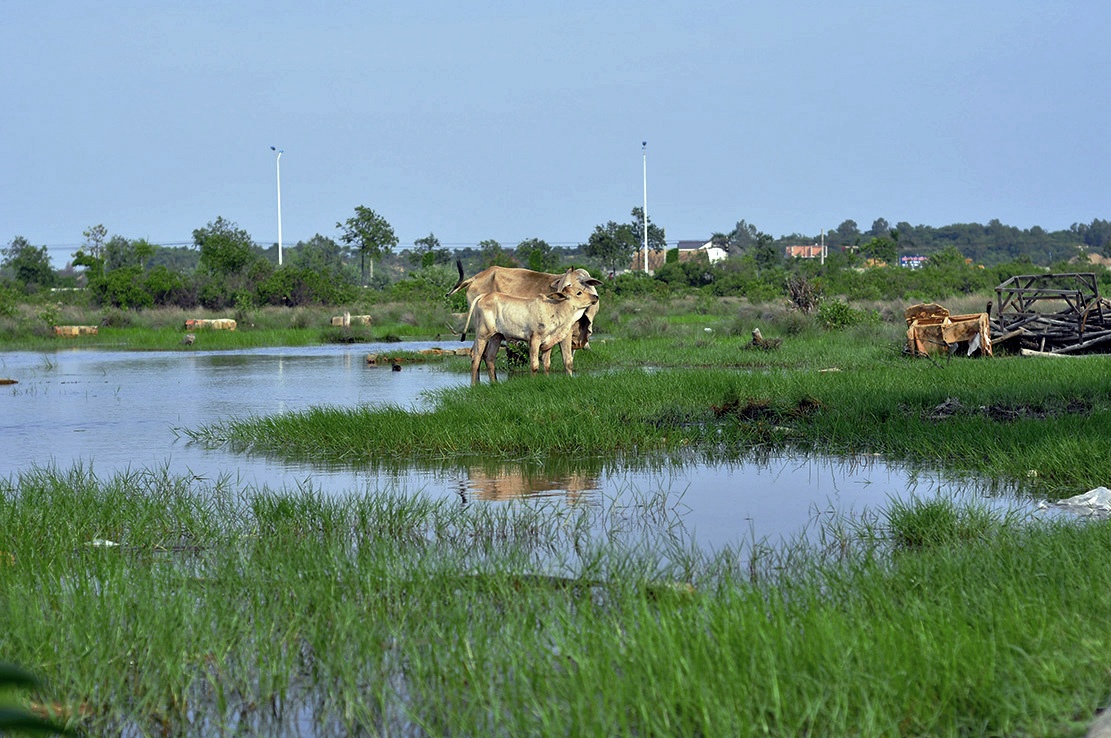 can canh du an nghin ty sai pham o Vung Tau anh 12
