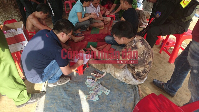 Pha soi bac trong rung anh 1