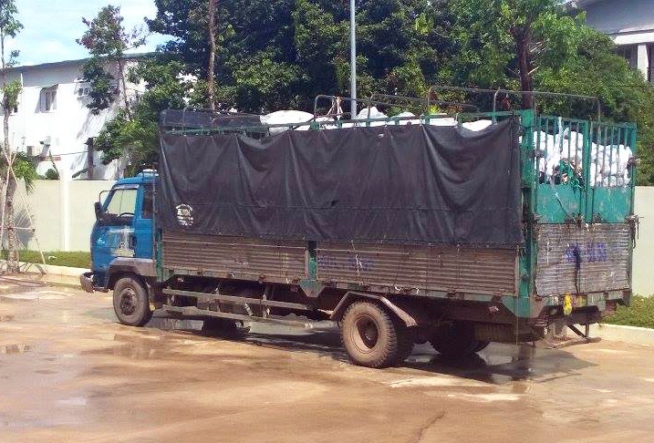 do trom chat thai anh 1