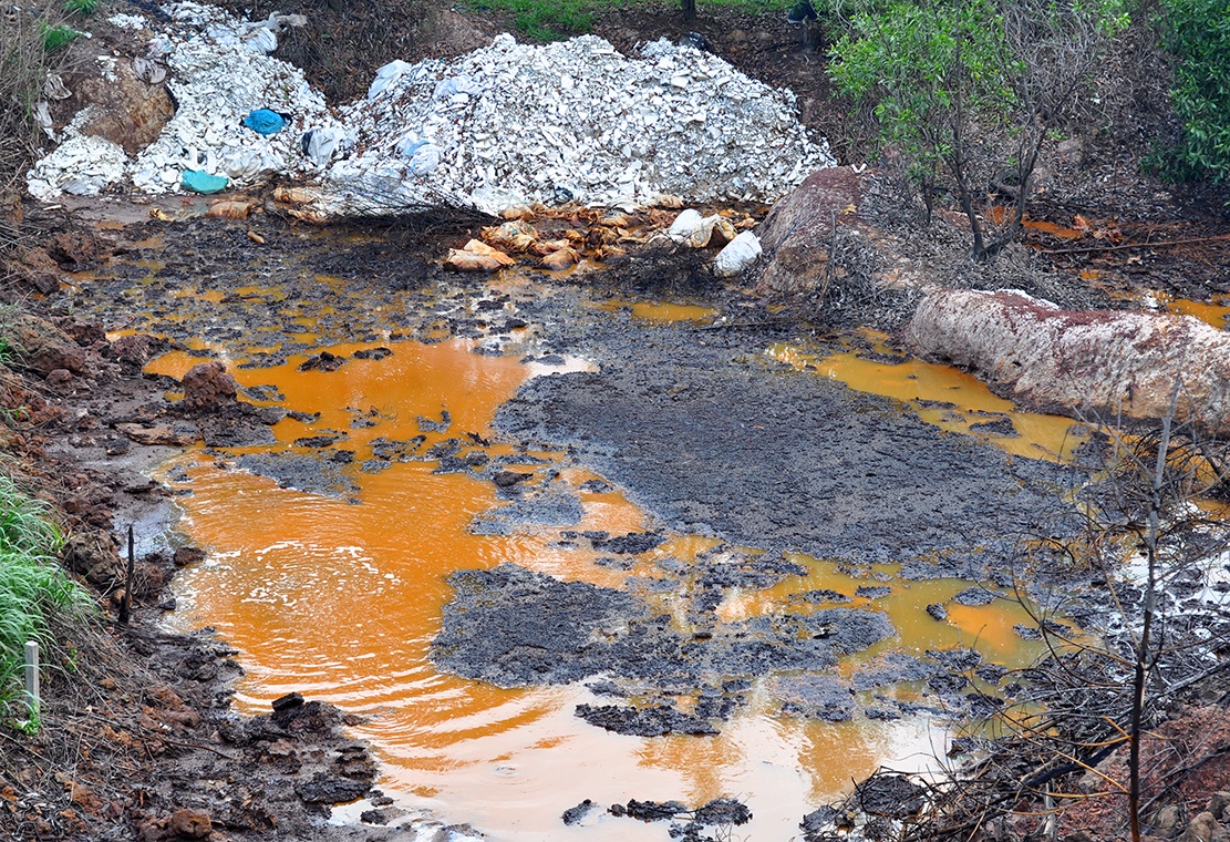 Vat nuoi,  cay trong ben bai rac nghi do hoa chat chet o at anh 2
