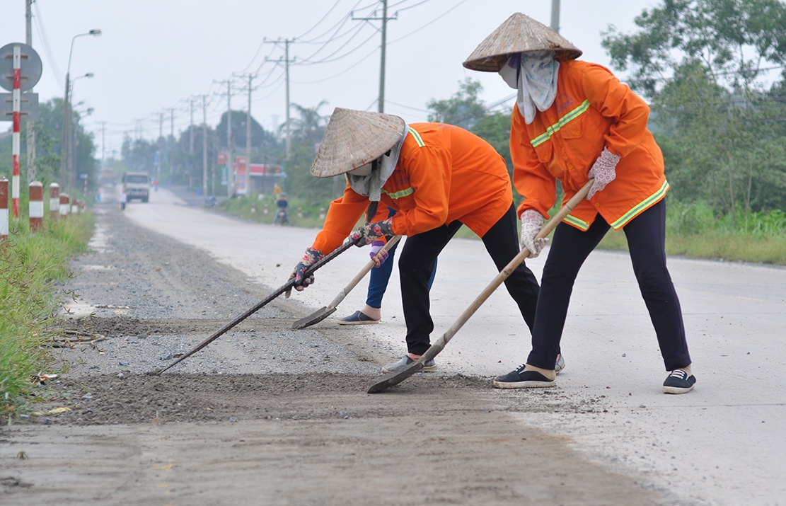 tuyen duong chim trong bui anh 10