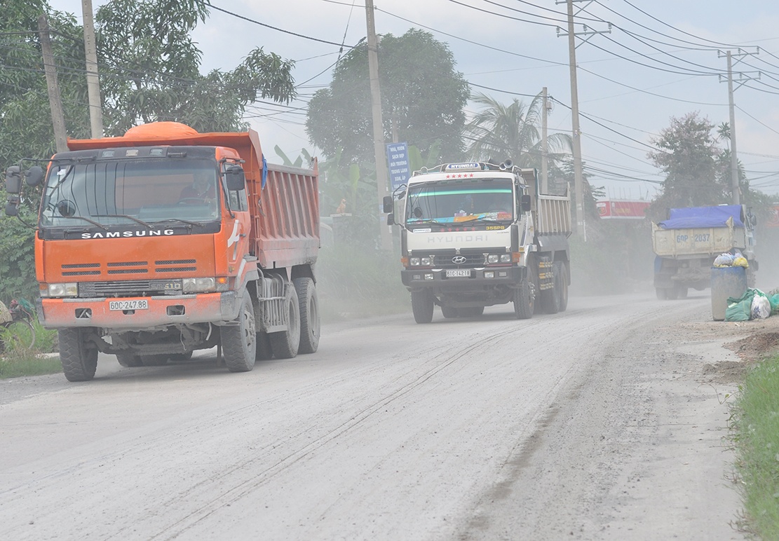tuyen duong chim trong bui anh 2