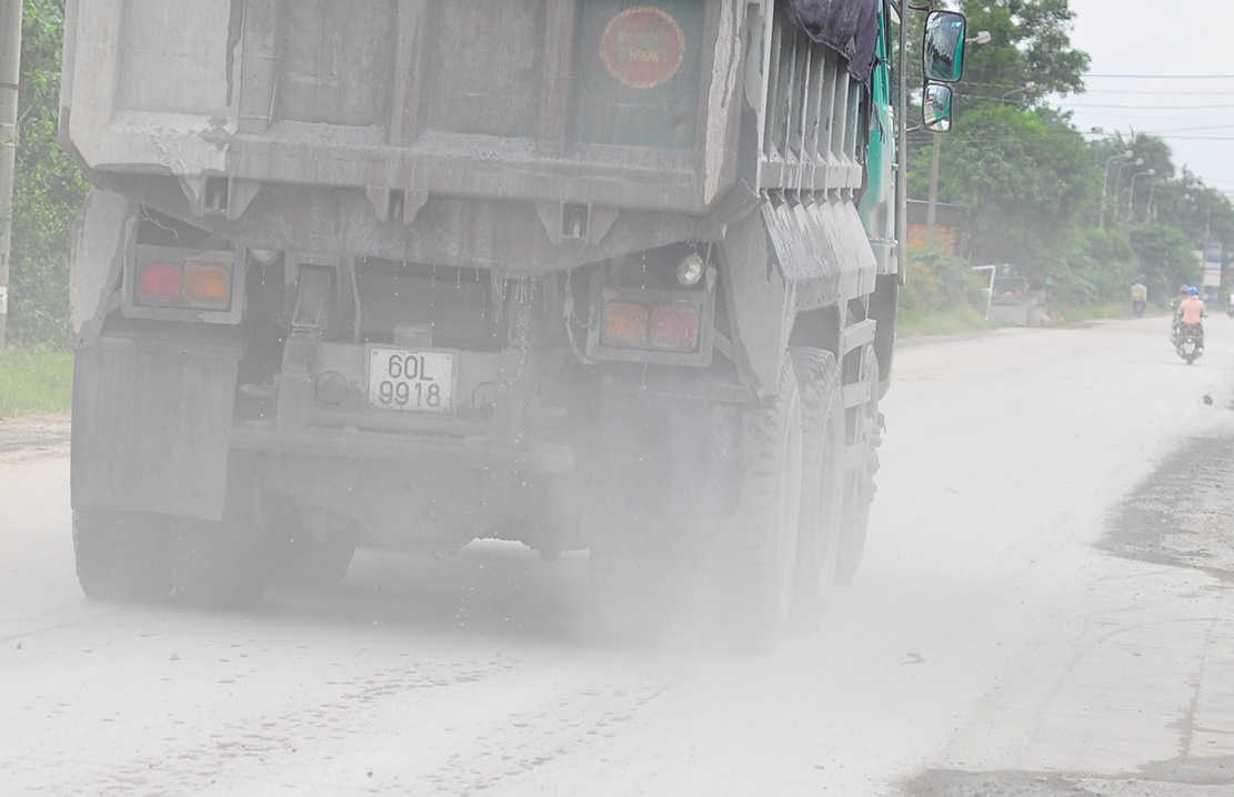 tuyen duong chim trong bui anh 3