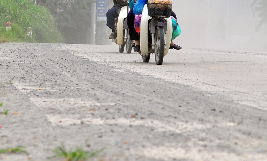 tuyen duong chim trong bui anh 4