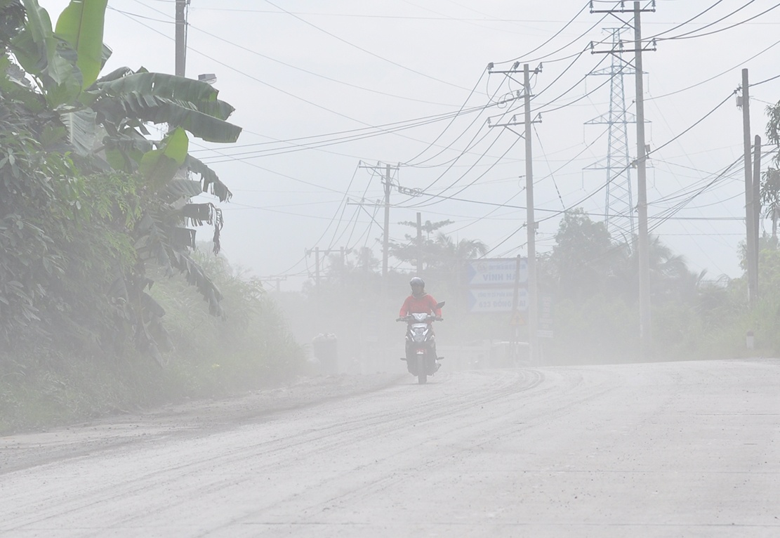 tuyen duong chim trong bui anh 5
