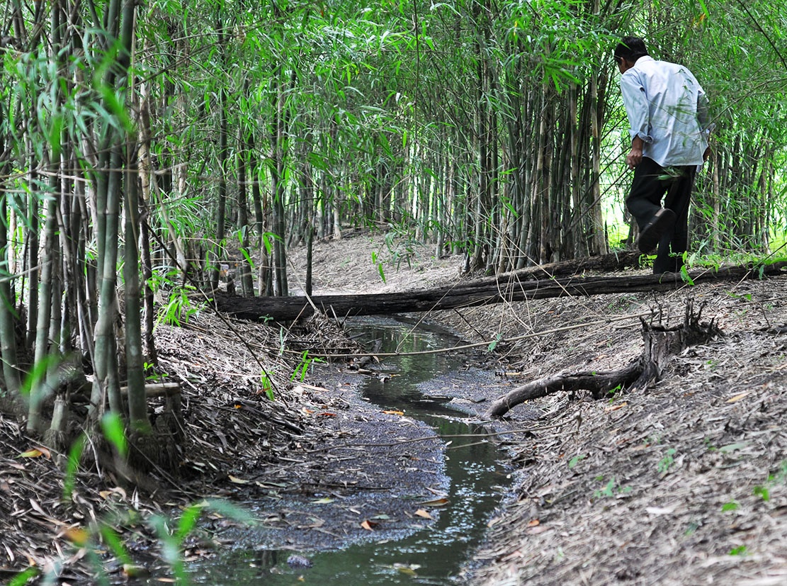 Gieng sau 90 m gan trai nuoi heo co nuoc mau den,  hoi thoi anh 2