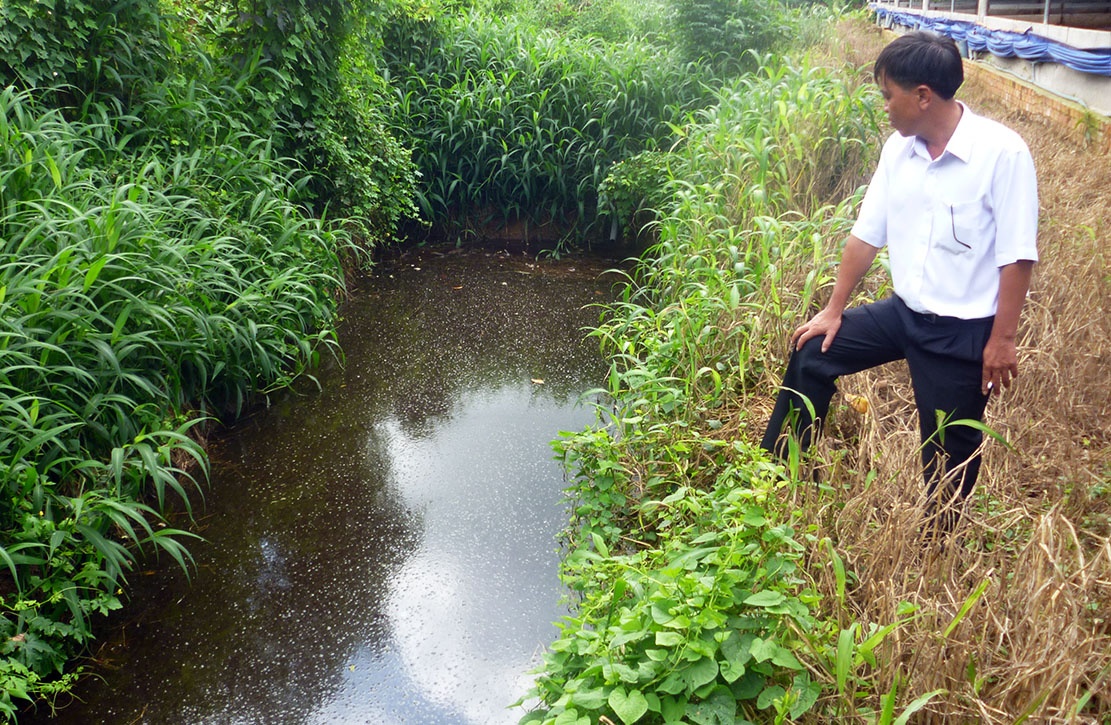 Gieng sau 90 m gan trai nuoi heo co nuoc mau den,  hoi thoi anh 3
