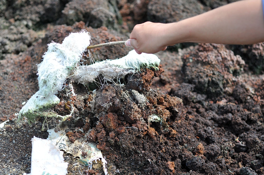 do trom bun thai trong lo cao su anh 3